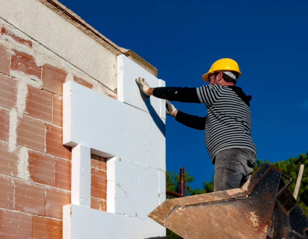 Best Geographic-Specific Insulation Services in Morris, MN