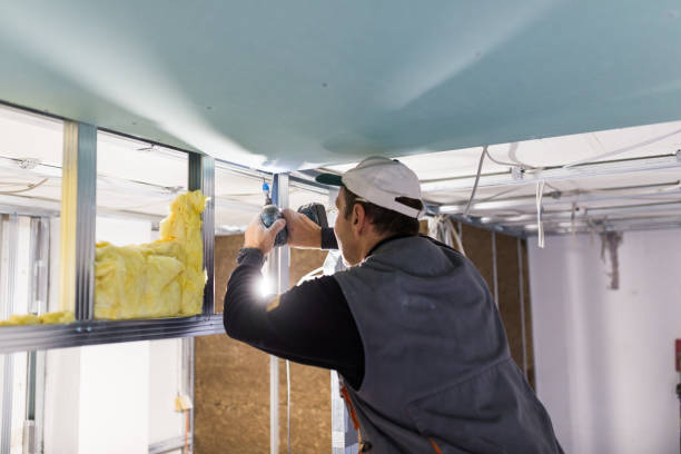 Best Spray Foam Insulation in Morris, MN