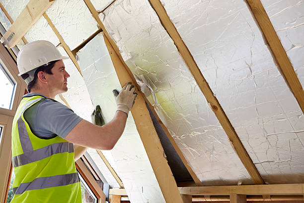 Best Specialized Insulation Services in Morris, MN